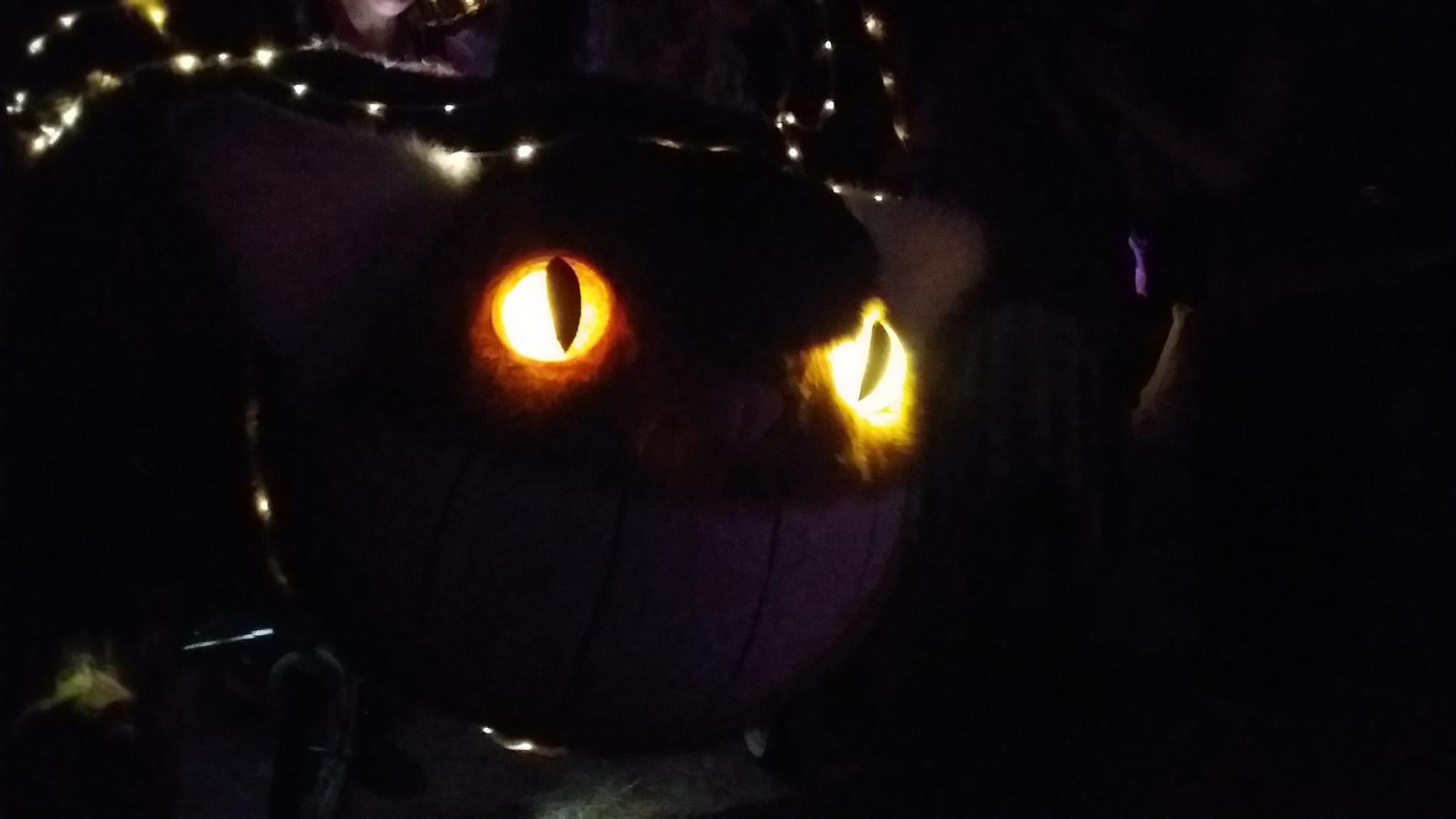 Catbus's glowing night eyes