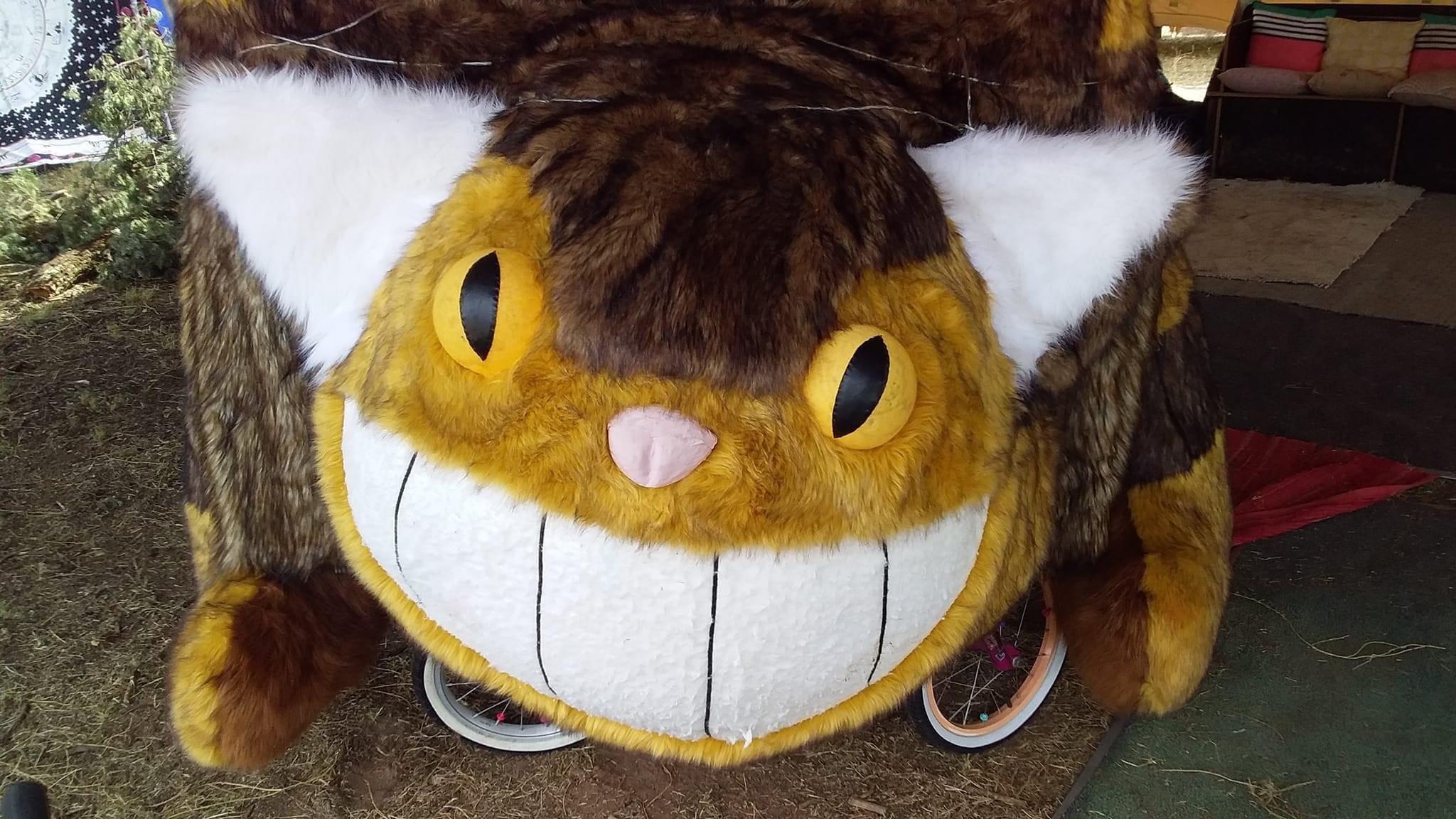 Catbus on the Paddock