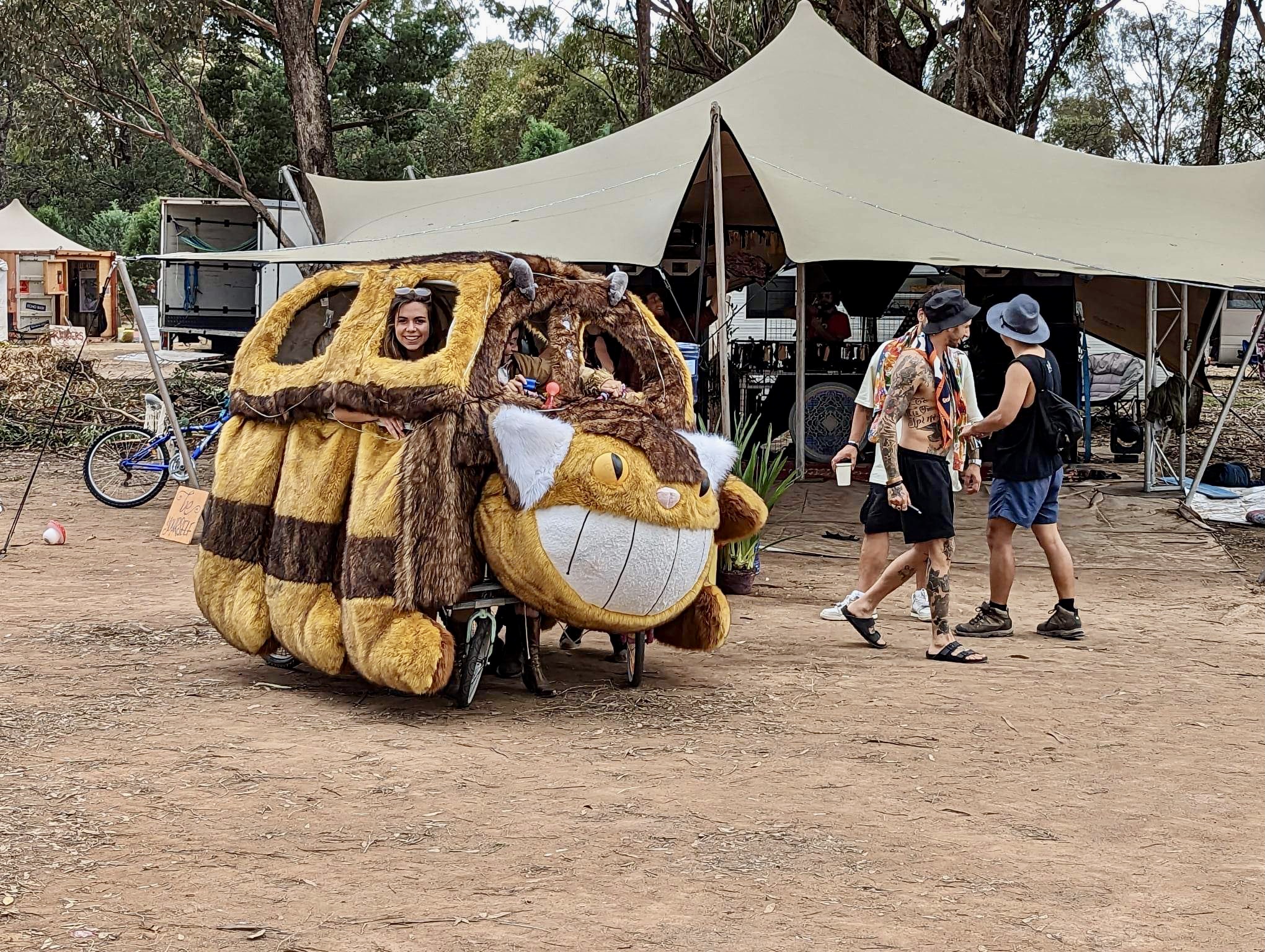 Catbus on the Paddock